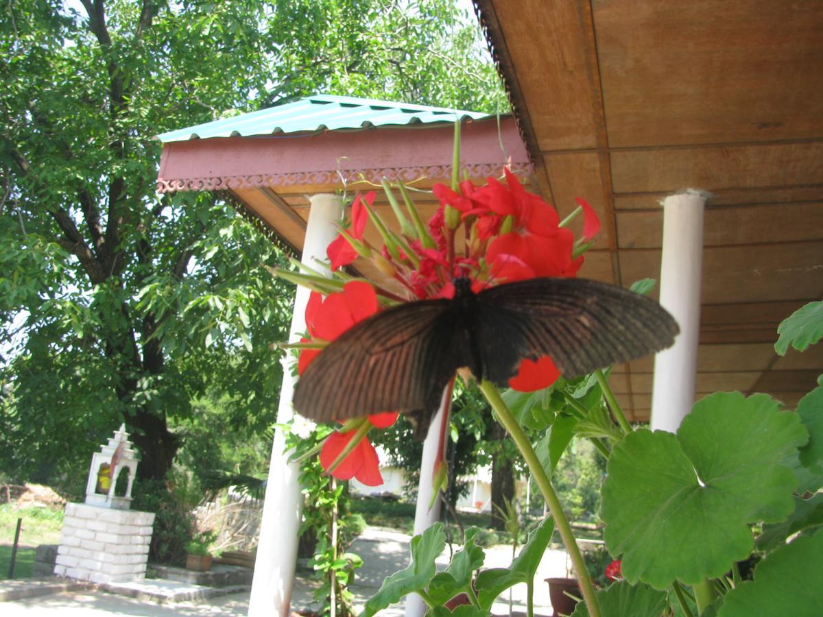 Tatva Bir Tents And Hotel Kangar 외부 사진